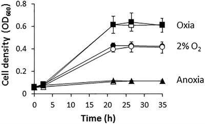 Rhizobium etli Produces Nitrous Oxide by Coupling the Assimilatory and Denitrification Pathways